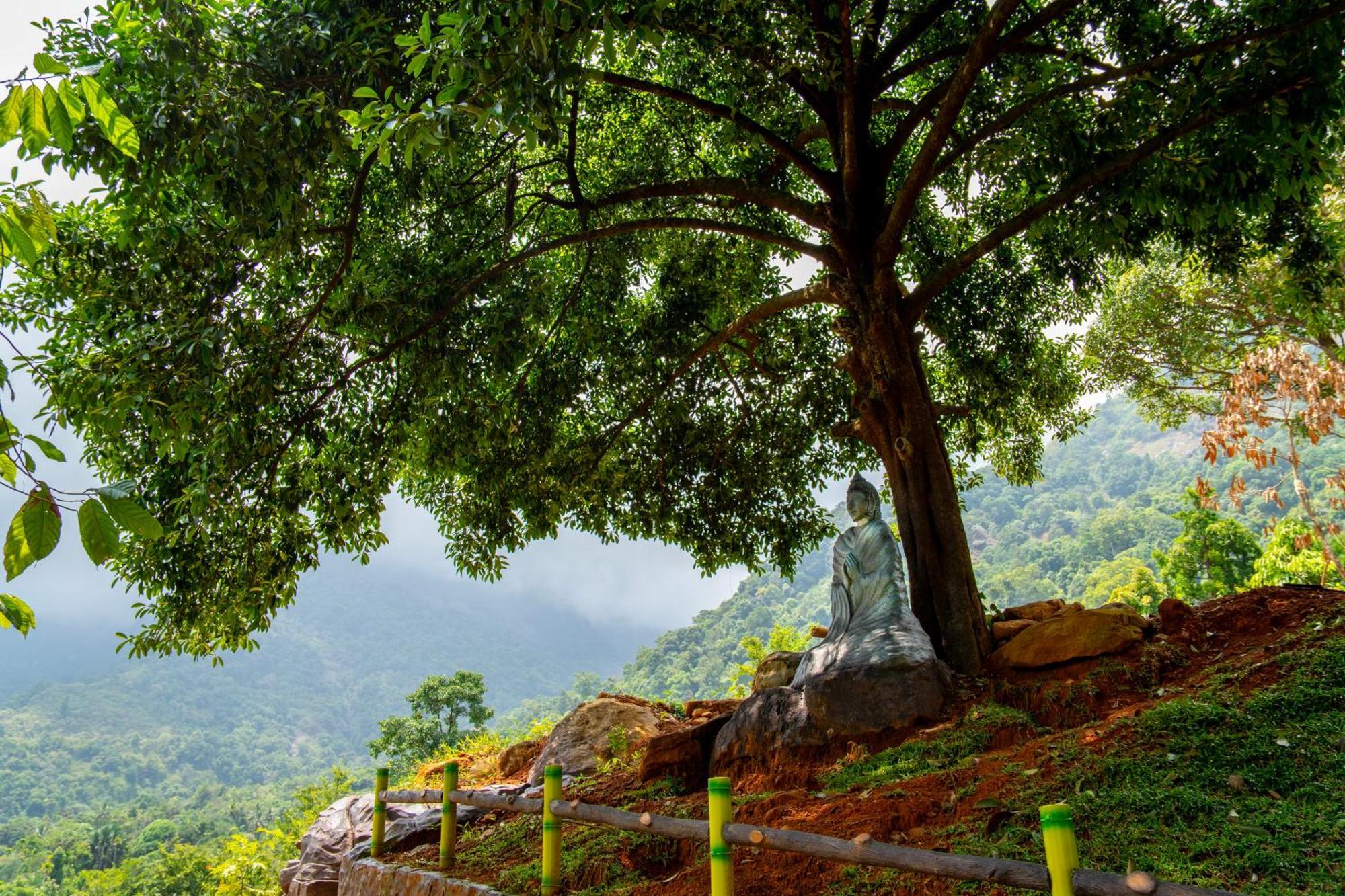 Karimb Resorts Vallikavungal Exterior photo