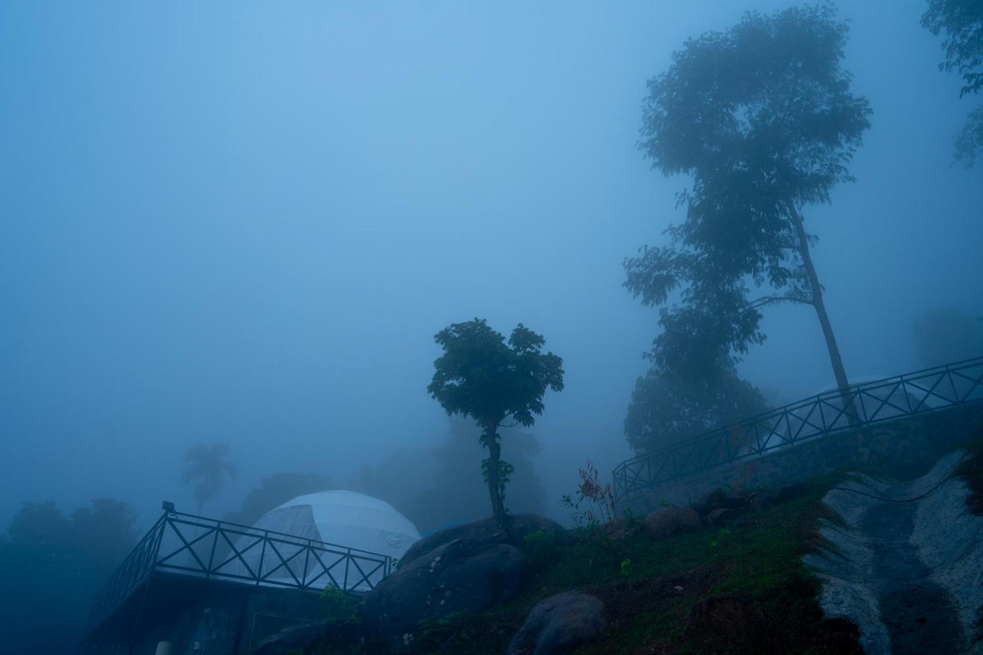 Karimb Resorts Vallikavungal Exterior photo